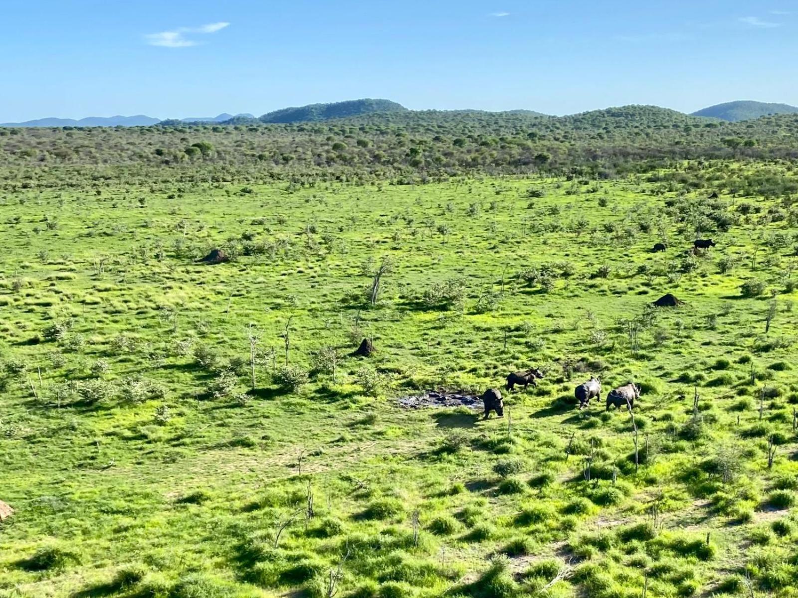 ホテル Kifaru Bush Camp オウチョ エクステリア 写真